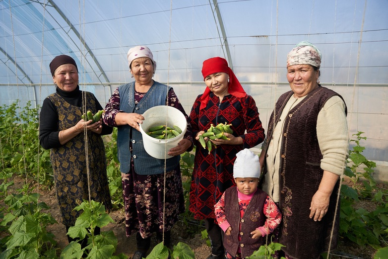  Mitglieder einer Frauenkooperative züchten grünes Gemüse in einem Gewächshaus in der Oblast Jalal-Abad, Kirgisistan.