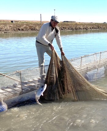 Ein Fischer hält ein Fangnetz.