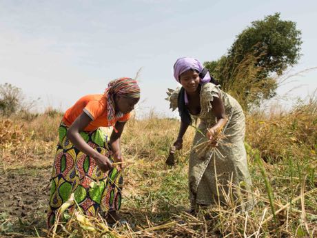 Tschad: Einheimische und Flüchtlinge können die neugewonnen Äcker gleichermaßen nutzen. 