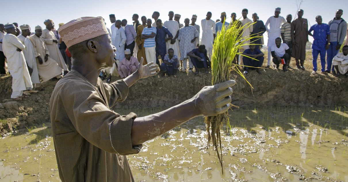 Applaudierende nigerianische Reisbäuerinnen vor dem Schild einer Frauenkooperative