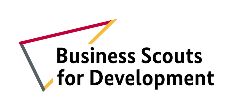 Logo of the Business Scouts for Development Programme 