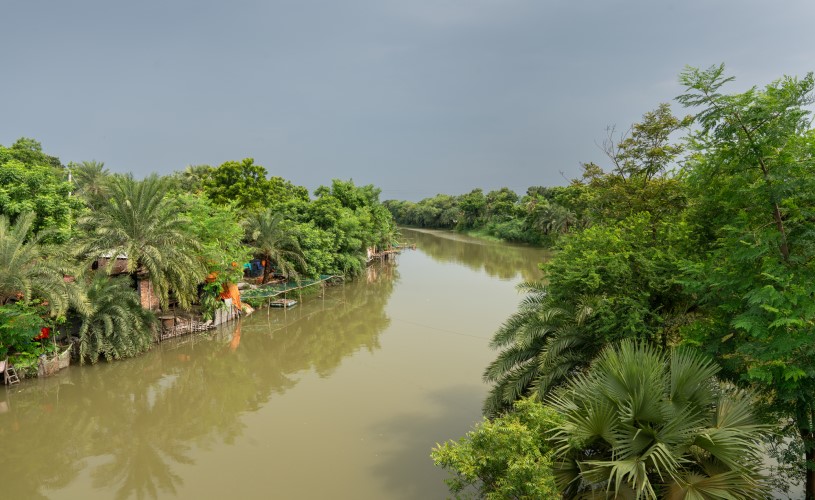 A river with a palm forest along its banks.