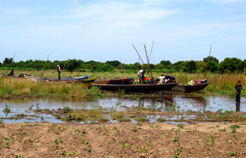 Chad. Flooded fields during the wet season: harvests destroyed at Lake Chad (photo: Dr Lames) © GIZ