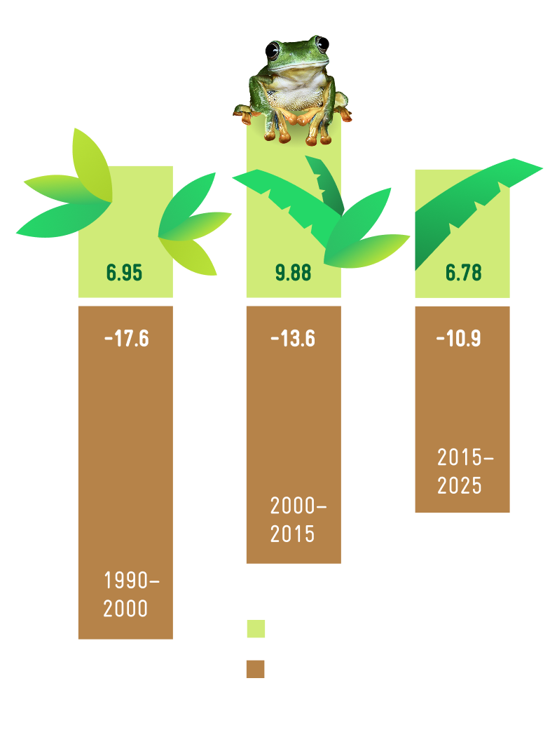 Infographic with a frog showing forest expansion and deforestation in million hectares for the periods 1990–2000, 2000–2015, and 2015–2025.