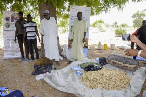 4 Personen stehen draussen vor einem Laken