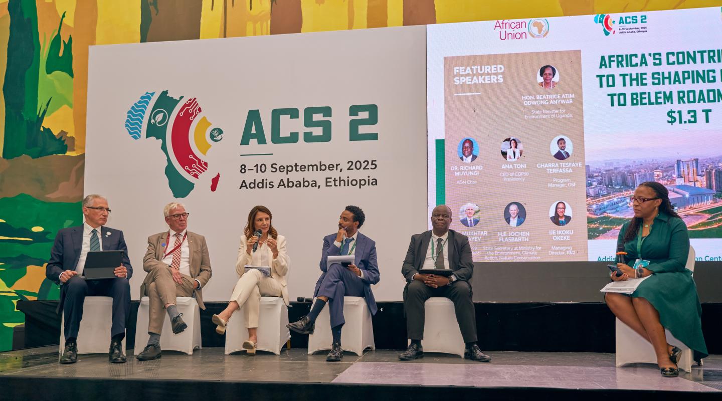 High Level Panel on COP30, Belém, State Secretary Jochen Flasbarth of BMUKN second of the left, also with Ana Toni of Brazil then next to her Tesfaye Tefera, Richard Muyungi and Ikoku Okeke