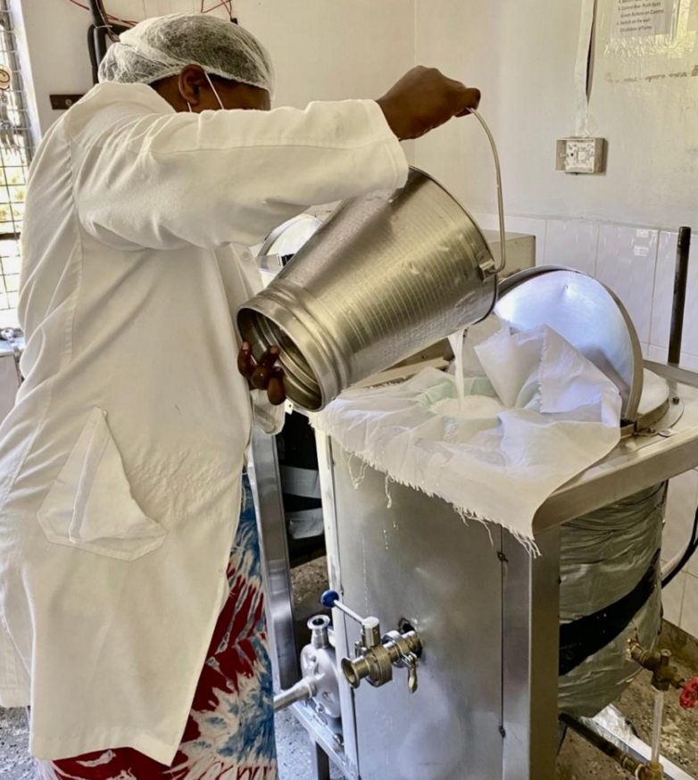 A person produces camel milk.