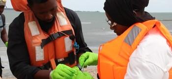 Scientists are taking samples to test for avian influenza in The Gambia.