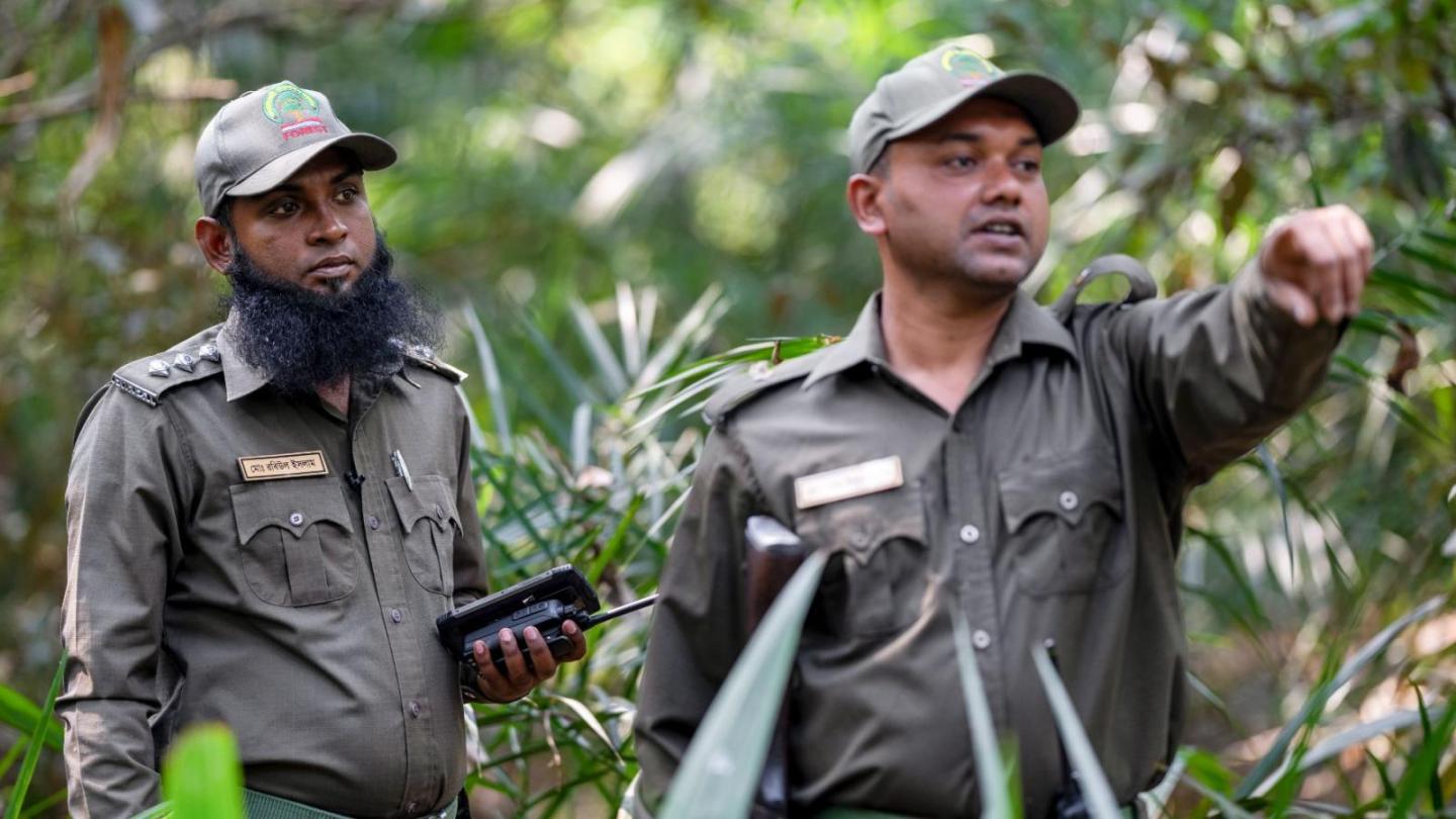 Two forest rangers