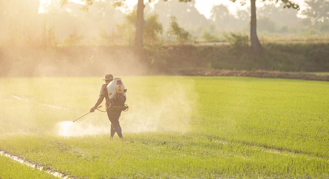 A man fertilises a field