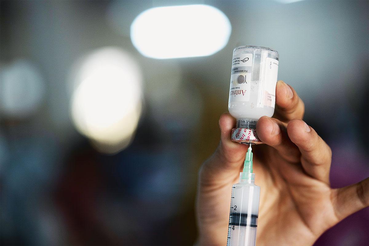 Syringe with ampoule of antivenom