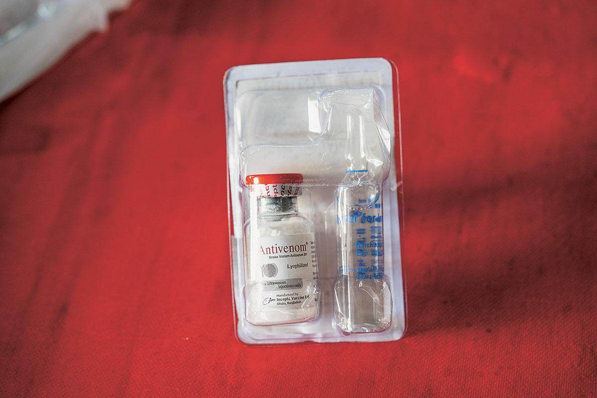 Ampoule containing antivenom