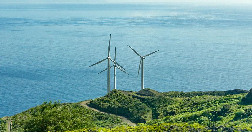 Great potential in the Dominican Republic: wind energy