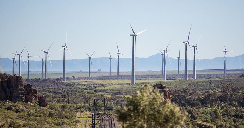 Field with lots of wind turbines