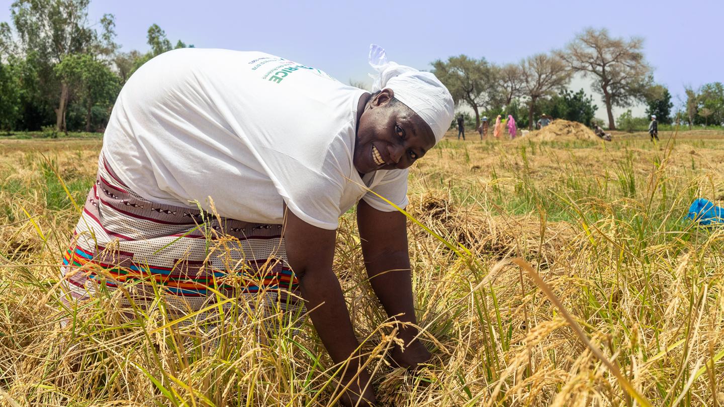 Rice farmer Rakia Madougou in the field
