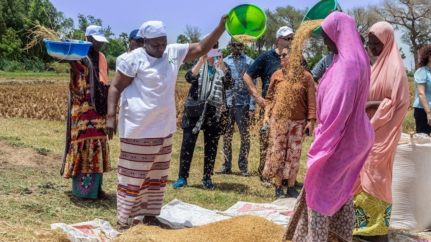 Rice farmer Rakia Madougou shows off her harvest