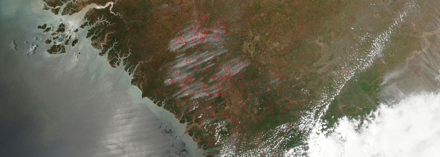 Satellite image of a coastal region. Half of the image shows land, the other half shows sea.
