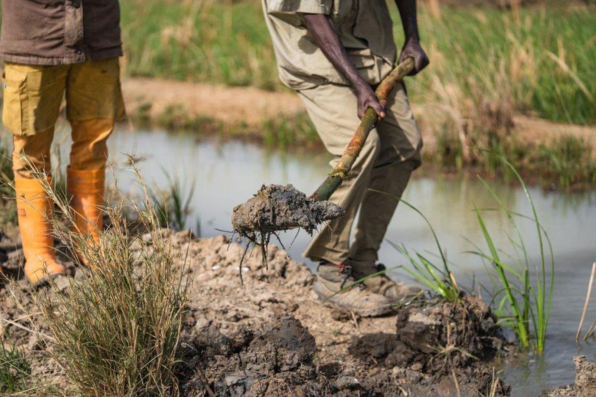Person with a shovel in their hand working in the fields