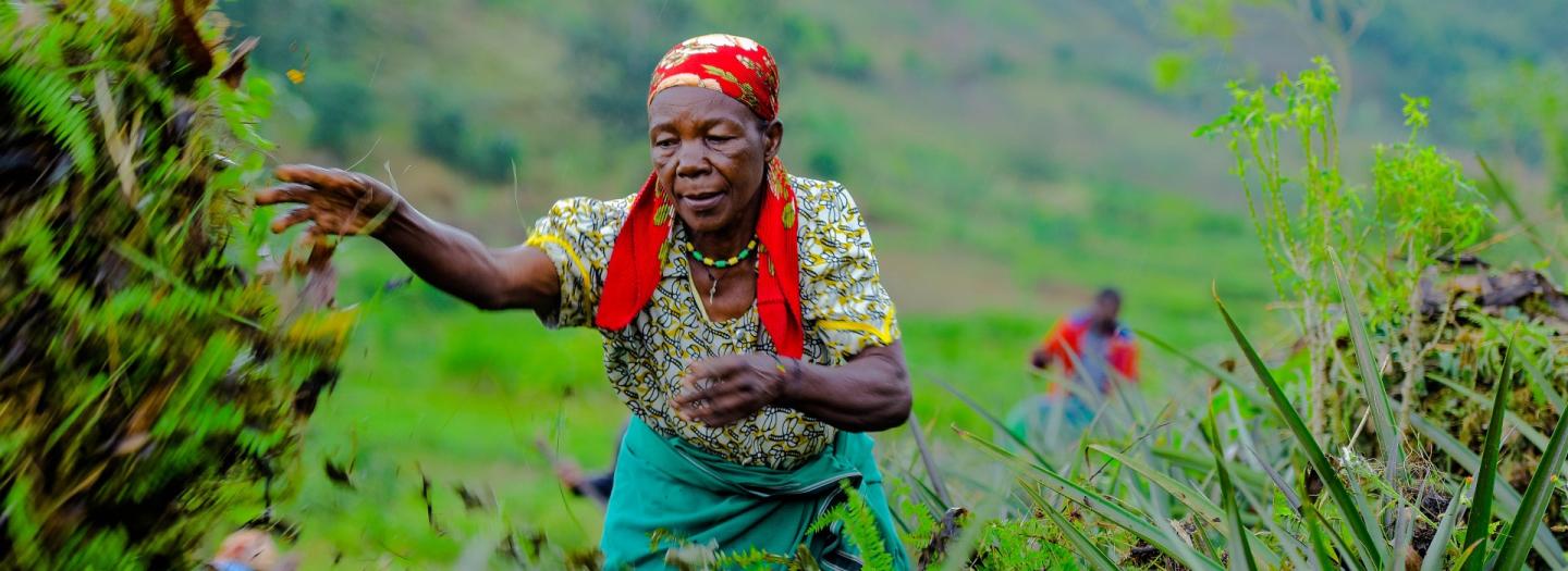 Eine Bäuerin wirft Pflanzenreste auf ein Feld.