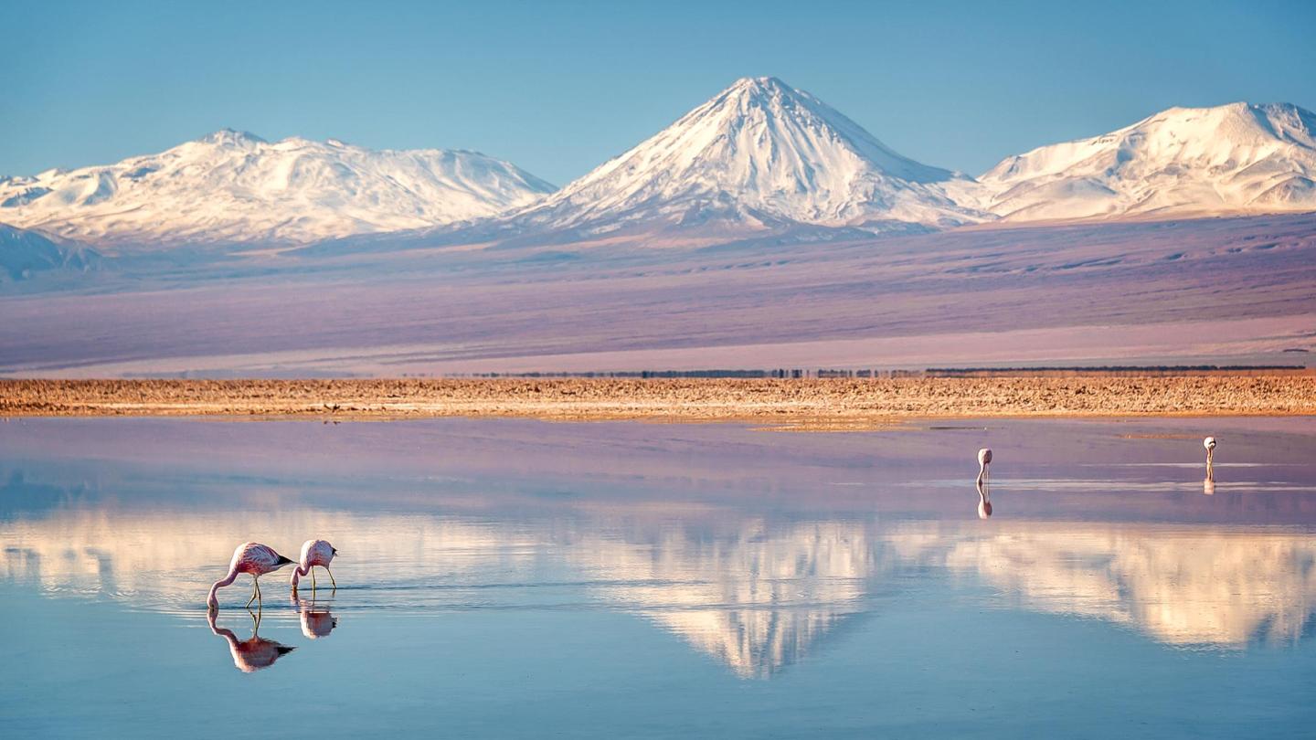 The Salar de Atacama salt flat is home to a quarter of the world's lithium reserves.