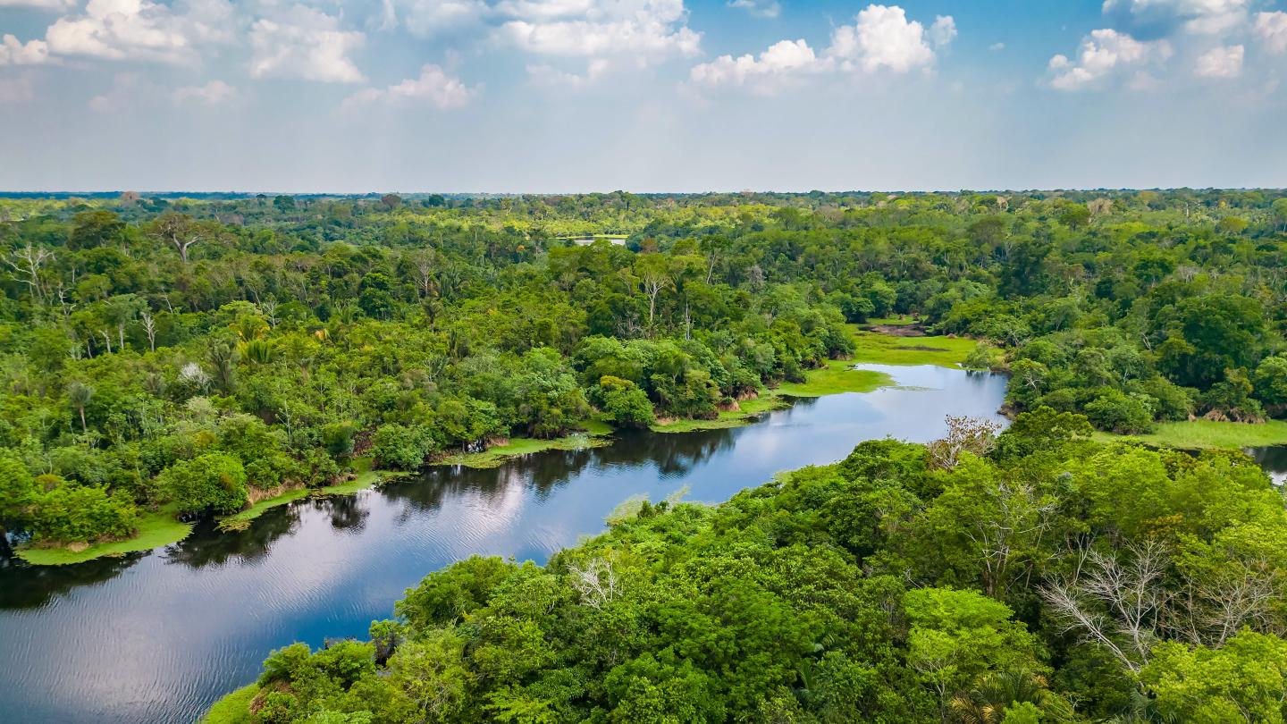 Aerial view of dense rainforest with a winding river under a blue sky.