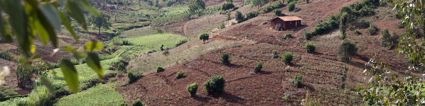 Eine Hütte steht in einer hügeligen, teilweise begrünten Landschaft.