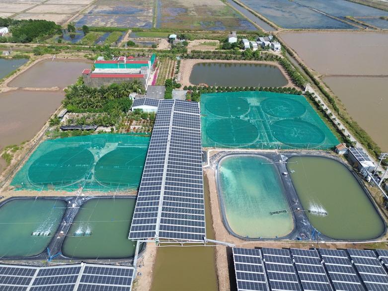Solar panels next to facilities used for prawn farming