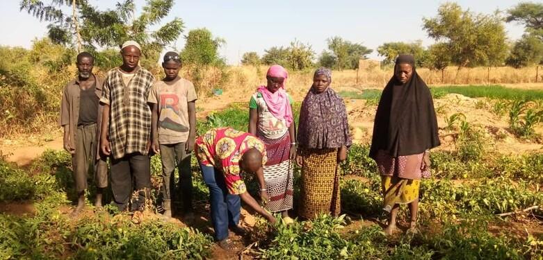 Eine vertriebene Familie, auf einer landwirtschaftlichen Fläche zum Gemüseanbau, Gemeinde Souransan @ Büro Kayes, PAPSE/GIZ