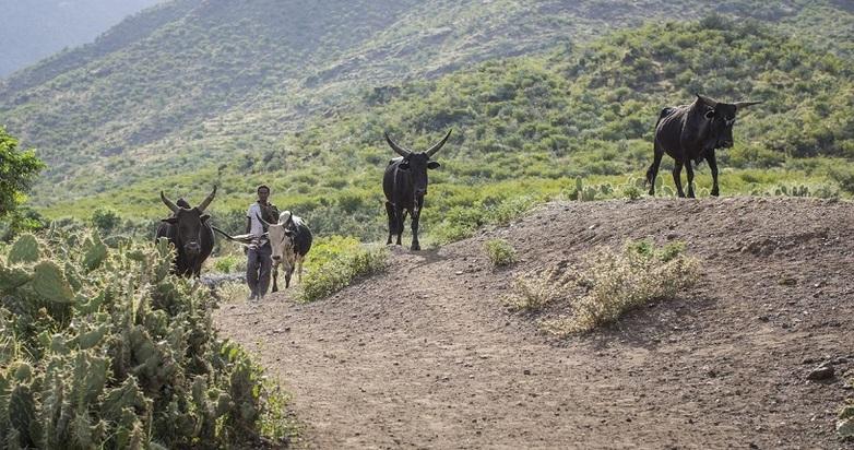 GIZ Thomas Imo photothek.net