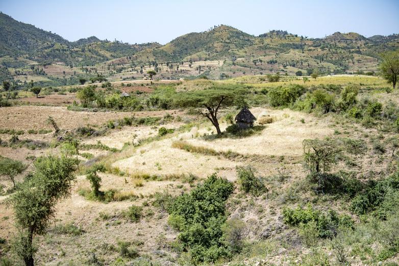 Eine vielfältige Landbewirtschaftung mit Erosionsschutz im Hochland.