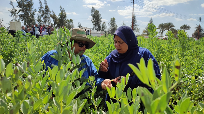 Two women in a field surrounded by green plants.