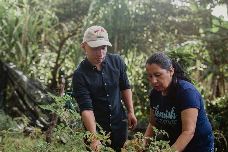 A Latin American woman and man are standing in a forest taking care of a plant.