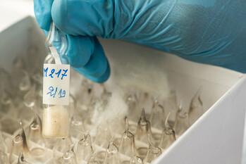 Ampoules in a box. An ampoule being taken from the box by a hand in a sterile glove.