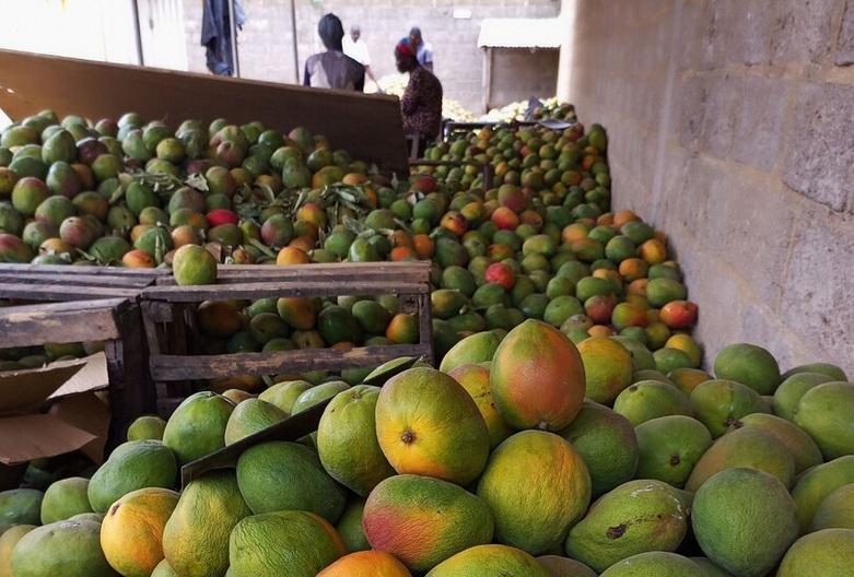 Des mangues fraîches reposent sur un étal de marché, entourées d'autres types de fruits.