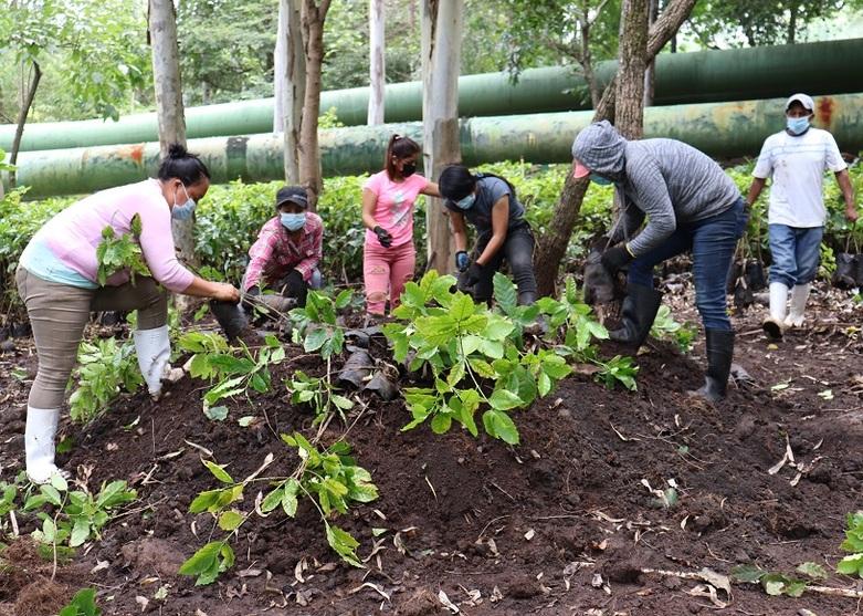 Eine Gruppe arbeitet im geothermischen Feld von LagGeo in El Salvador.Copyright: Neimy Girón, Proyecto GEO II/GIZ