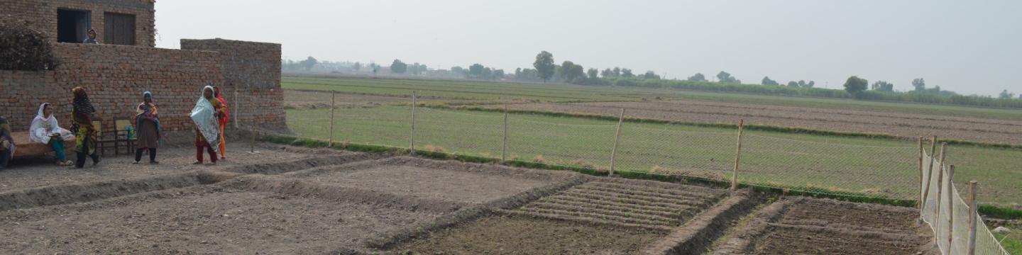 Bäuerinnen stehen gemeinsam auf einem Feld.