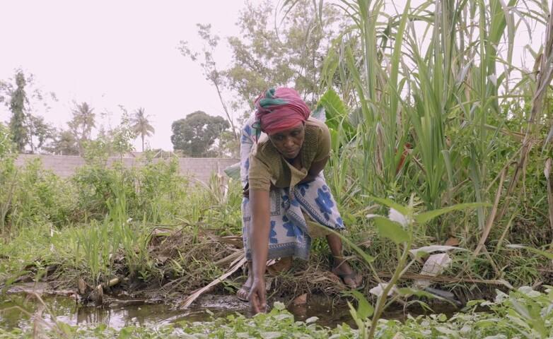 A farmer reaching for plants at a watercourse.