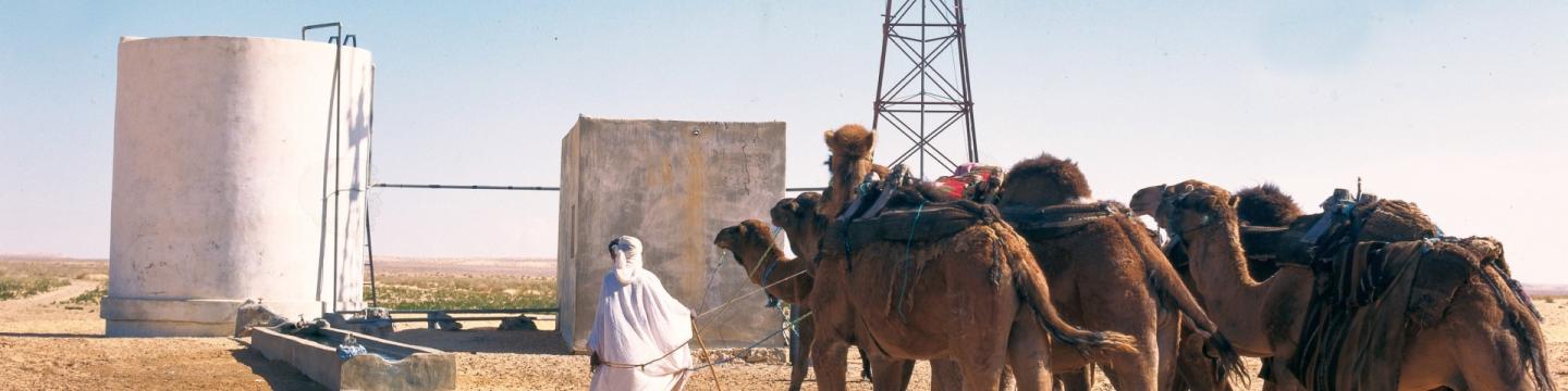 Ein Nomade führt Kamele zu einem Brunnen.