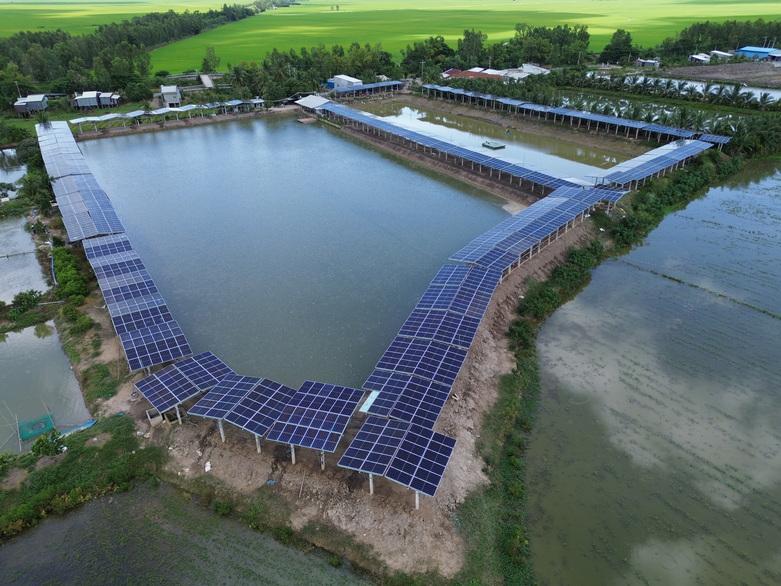 Solar panels next to ponds used for pangasius farming