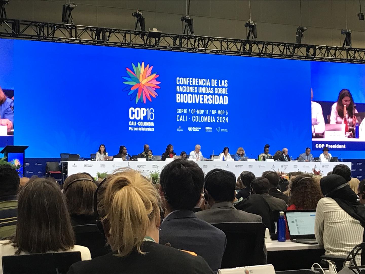 Auf der Bühne der COP16-Verhandlungen sprechen Menschen, andere hören mit Kopfhörern zu.