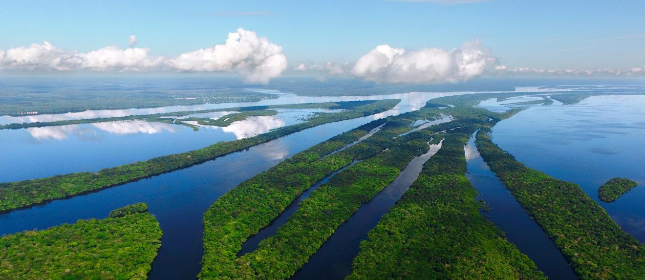 Präsident Lulas Waldpolitik zeigt Wirkung