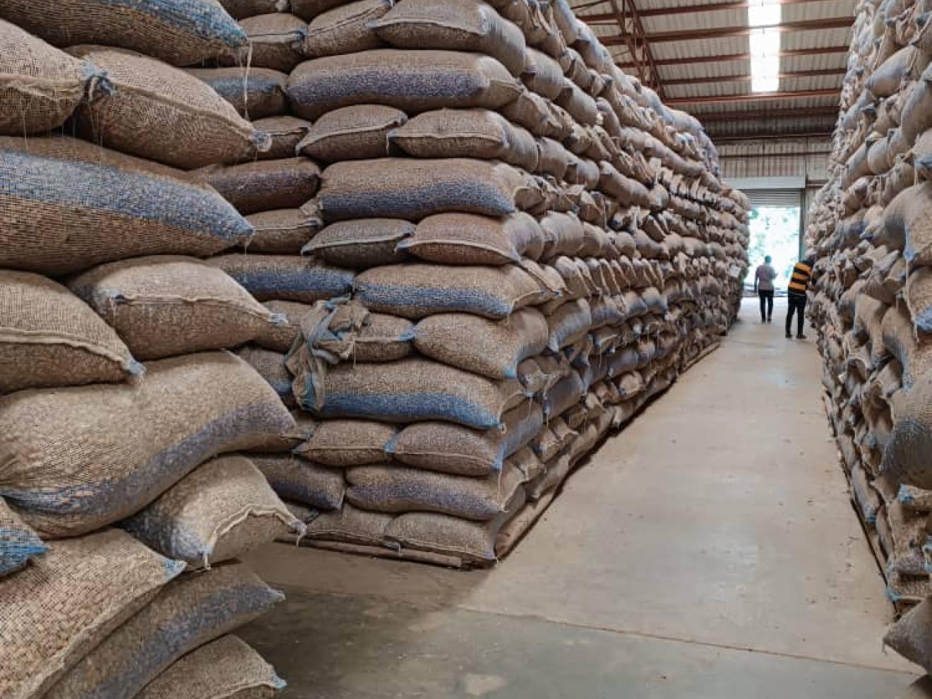 Malawian Groundnut Exports