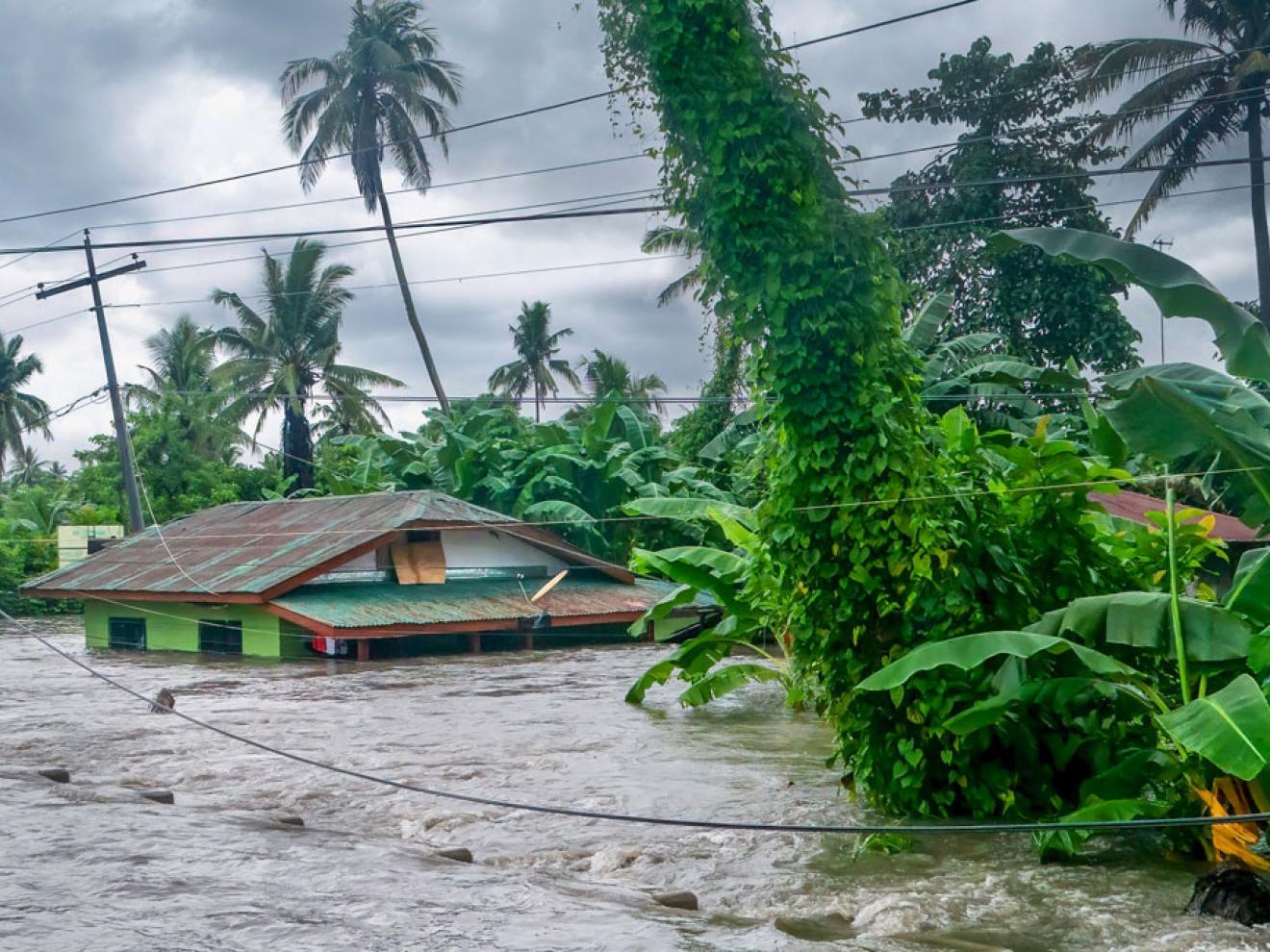 Photo of flooding in a tropical landscape