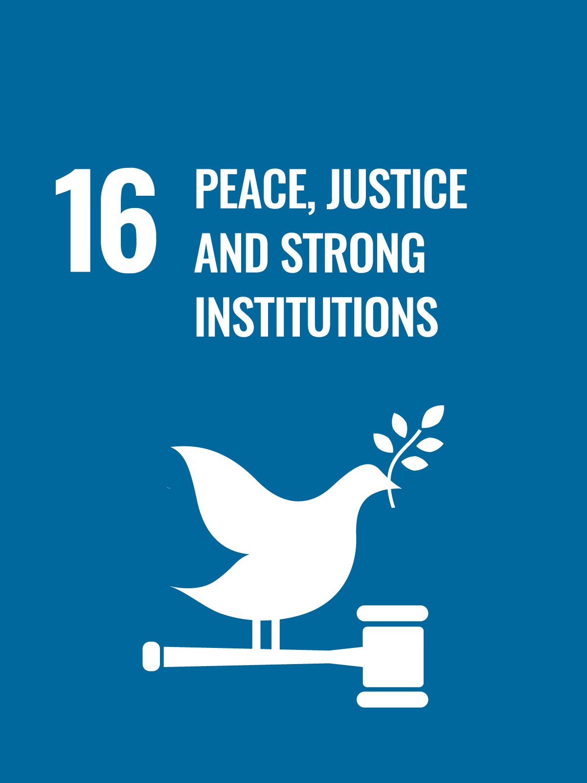 SDG 17