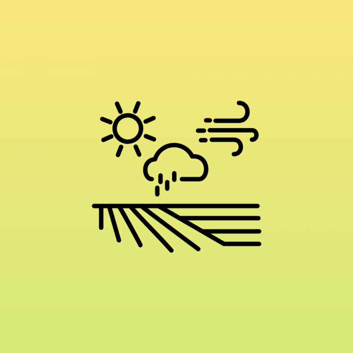 Icon Landwirtschaft und Klimawandel