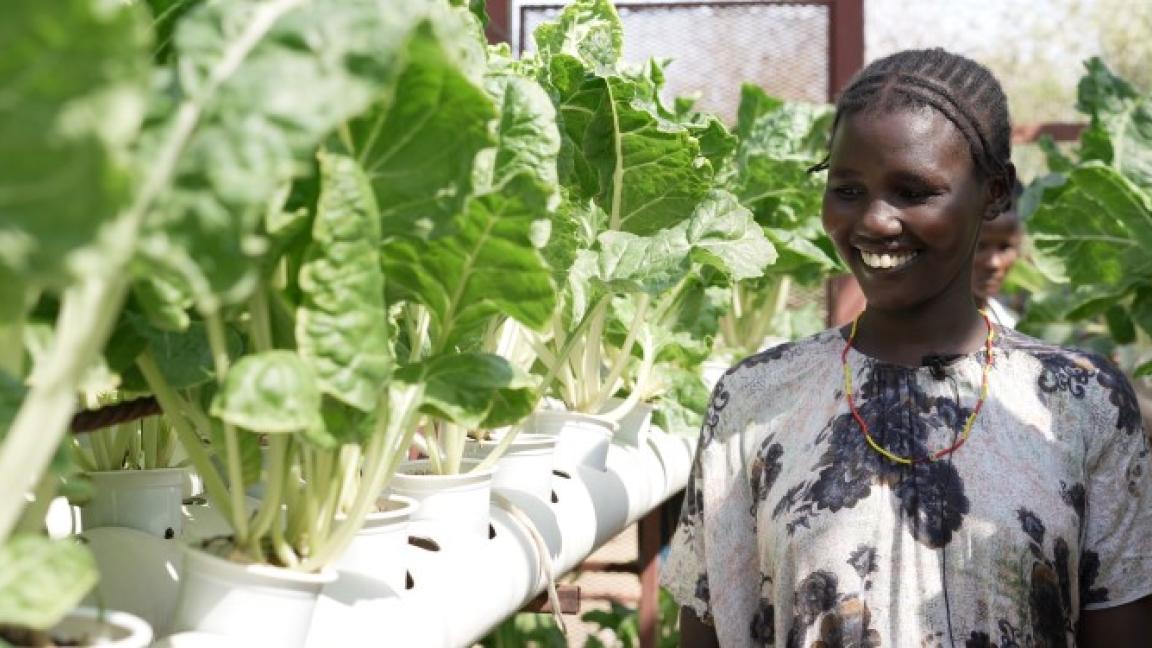 Eine Frau betrachtet Pflanzen in einem Gewächshaus.