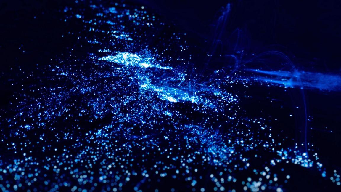 „Die Hochsee sichert das menschliche Überleben“