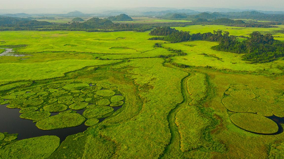 Luftaufnahme einer Moorlandschaft