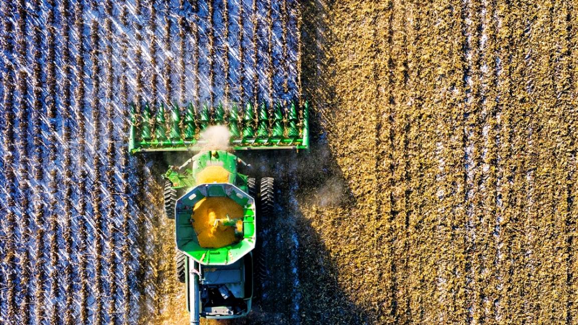Drohnenaufnahme eines grünen Mähdreschers, der ein goldbraunes Feld aberntet.