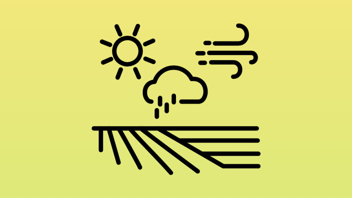 Icon Landwirtschaft und Klimawandel